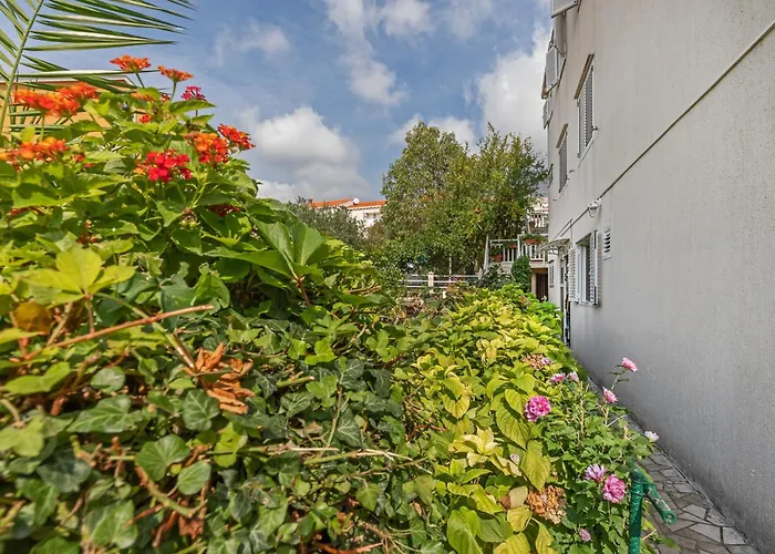 Apartment Ive